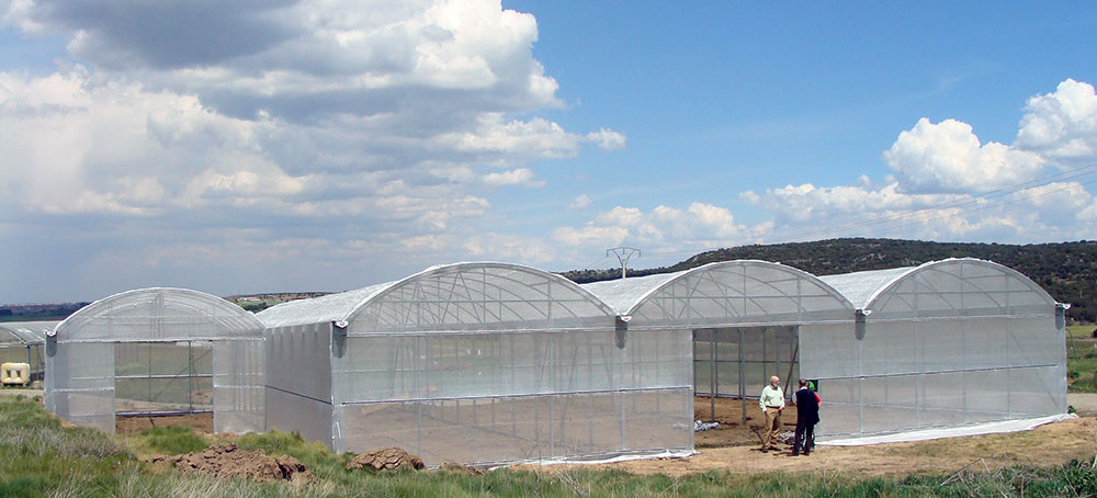 Flat roof shade structure 2