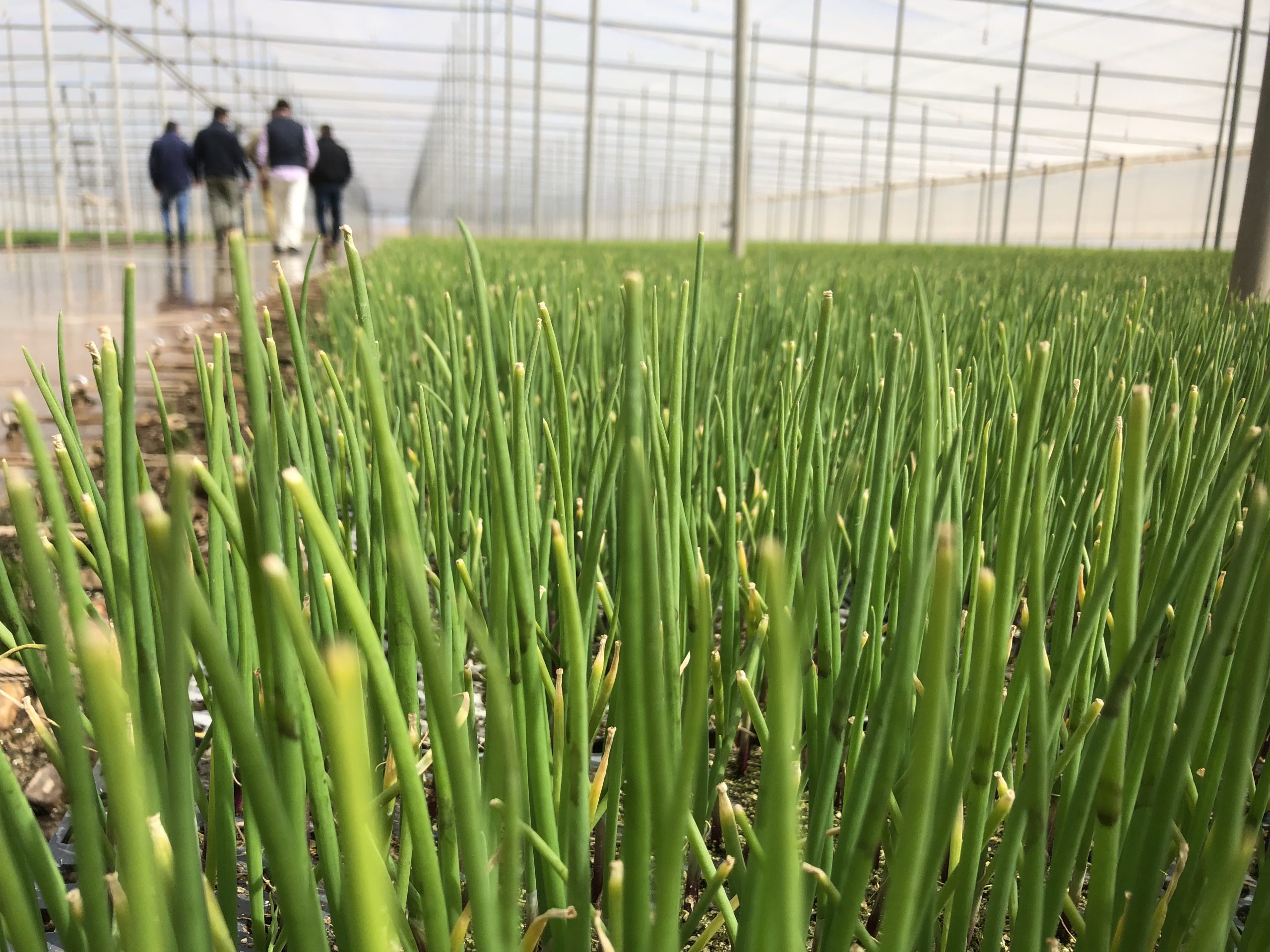 HIDROBLUE ile yeşil üretim