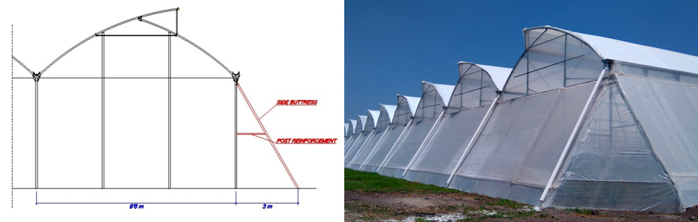 Tropikal Gotik Sera - Teknik Kesit