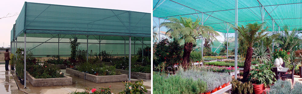 Curved roof shade structure 4