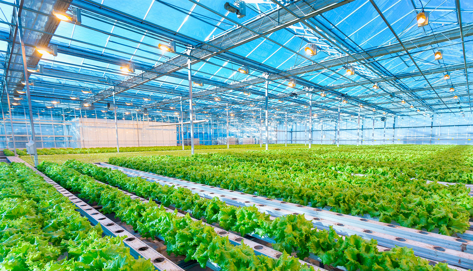 Enerji Yönetim Sistemleri